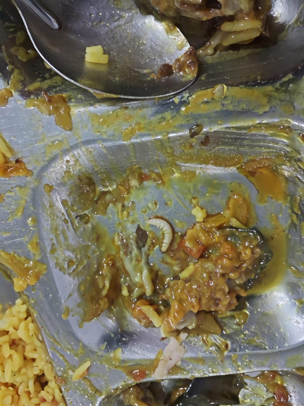 एटरनल यूनिवर्सिटी बड़ू साहिब के छात्रावास की मेस में भोजन में कीड़े मिलने से भड़की छात्राएं, बढ़ा विवाद