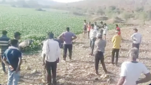 6 लाख रुपये की थी भैंसें; चरने गईं थीं बाहर, देर रात तक नहीं लौटीं तो सुबह बांध में मिले शव