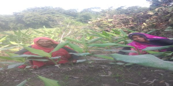 महिला किसानों के लिए रोल मॉडल बनी जिले की 408 कृषि सखियां