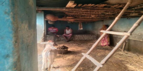 बाउंड्री का ताला तोड़कर पांच खस्सी की चोरी, इलाके में दहशत