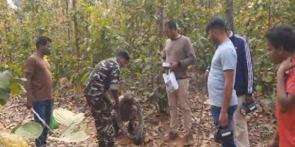 बीमार जंगली हाथी का वन विभाग करा रहा है इलाज