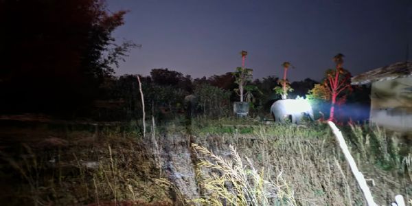 अनूपपुर: हाथियों का आतंक से परेशान ग्रामीण, घर-अनाज और स्वयं को बचाने के लिए रतजगा करने को मजबूर