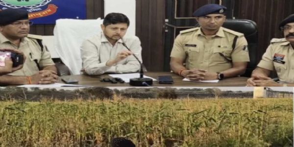 दुर्ग : समोदा गांव में अफीम की अवैध खेती, तीन आरोपित गिरफ्तार