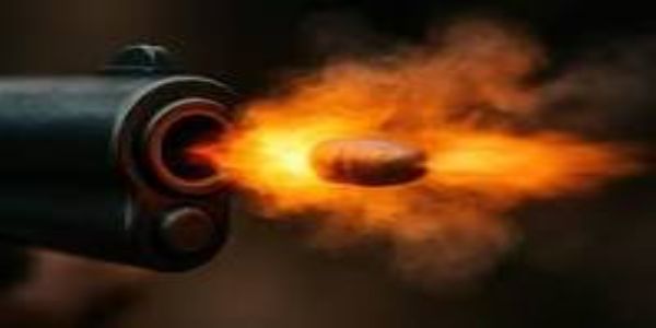 अवैध पिस्टल से हवाई फायर का इंस्टाग्राम पर अपलोड किया वीडियो, केस दर्ज