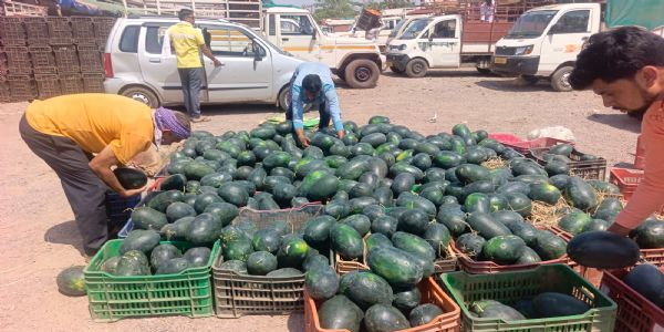 रसीले फलों की हो रही आवक, चौक -चौराहों पर बिक रहा तरबूज