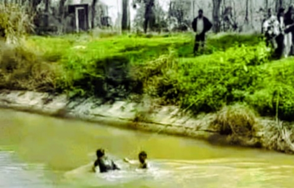 पानीपत दिल्ली पैरेलल नहर में डूबे किशोरों की तलाश करते गोताखोरों की टीम, फाइल फोटो पानीपत दिल्ली पैरेलल नहर में डूबे किशोरों की तलाश करते गोताखोरों की टीम, फाइल फोटो