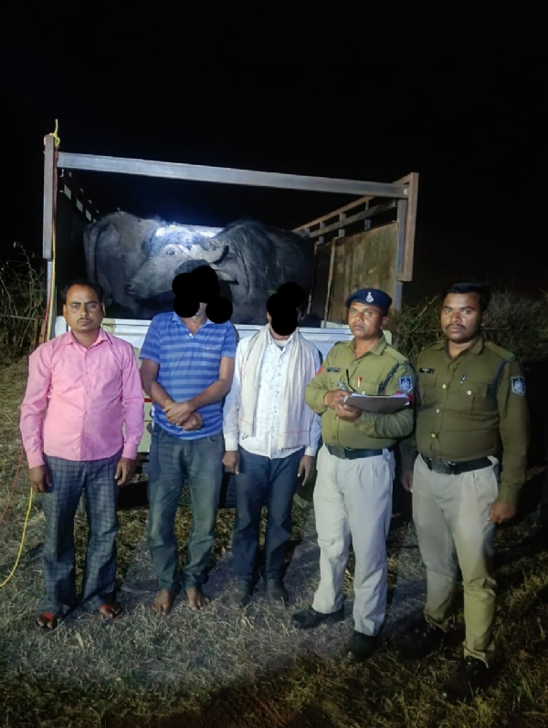 गिरफ्तार मवेशी तस्कर