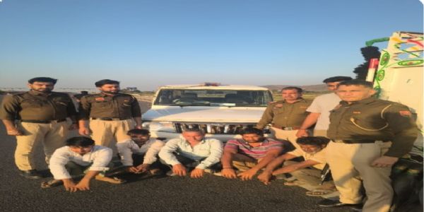 नूंह : दो अलग-अलग मामलों में 7 गो-तस्कर गिरफ्तार, 7 गोवंश और 70 किलो प्रतिबंधित मांस बरामद।