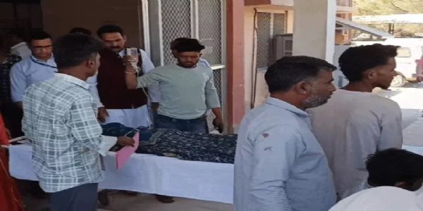 आवारा पशु को बचाने के प्रयास में मिनी बस पलटी, 15 लोग घायल