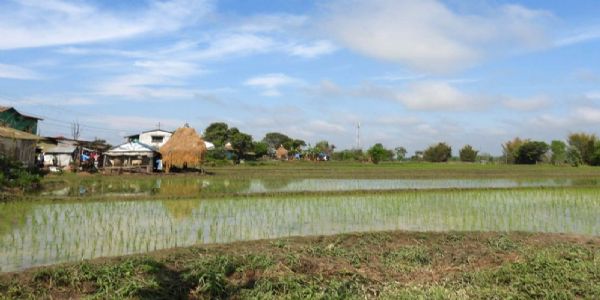 प्रतीकात्मक तस्वीर