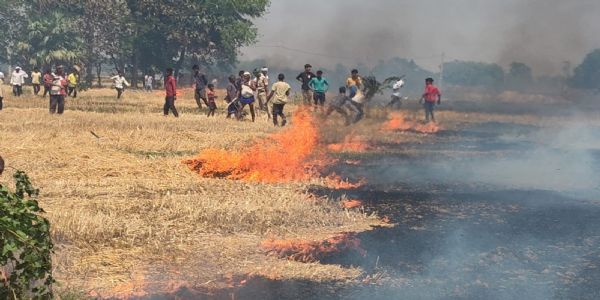 नवादा में 100 बीघा से अधिक गेहूं की फसल जलकर राख, दमकल पर लापरवाही का आरोप