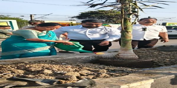 कोरबा में हरित पहल: परिवहन नगर में नगर निगम द्वारा किया गया पौधरोपण, पर्यावरण संरक्षण को मिलेगा बढ़ावा