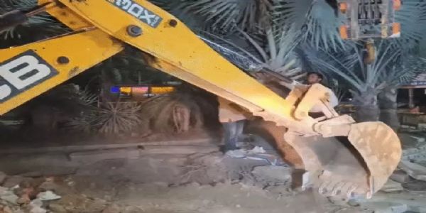 उदयपुर में एलिवेटेड रोड के लिए कटने वाले 40 पेड़ों को बचाया