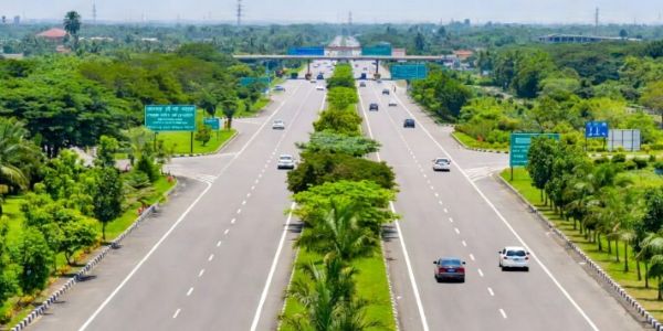 राजमार्ग के किनारे पेड़