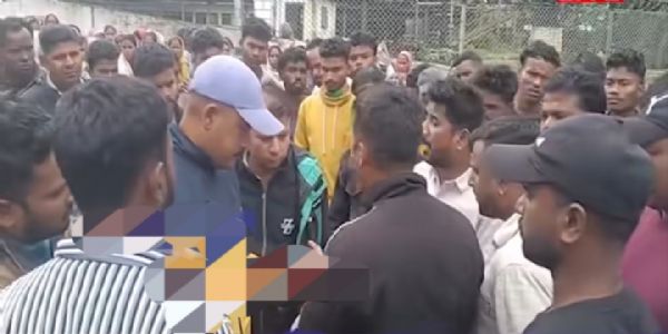 असम के राइदांग चाय बागान में बाघ का आतंक, एक श्रमिक घायल