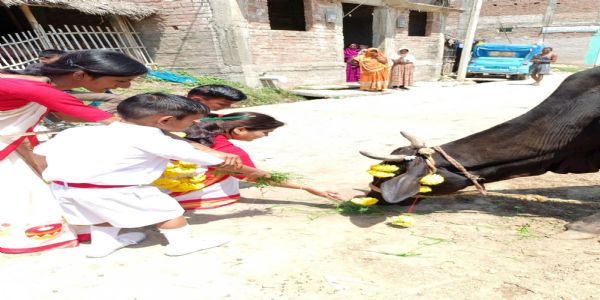 गौ ग्रास कार्यक्रम शामिल हुए विद्यालय के भैया और बहनें