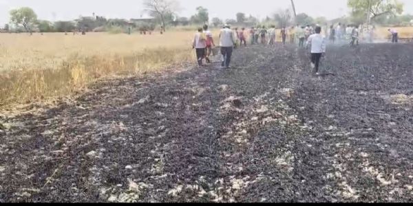 औरैया में विजली चिंगारी से गेहूं के खेत में आग, ग्रामीणों की तत्परता से बड़ा हादसा टला