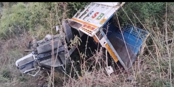 खाई में वाहन गिरने से चालक और जानवर की मौत