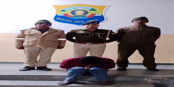 रोहडू में चिट्टा तस्करी के नेटवर्क का भंडाफोड़, मैकेनिक बना यूपी का सप्लायर गिरफ्तार