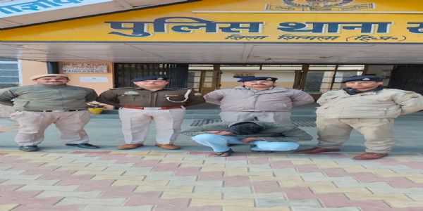 शिमला: 11 साल से भगोड़ा घोषित अपराधी गिरफ्तार