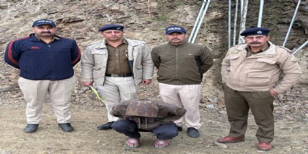 चिट्टा बरामदगी मामले में सप्लायर तक पहुंची शिमला पुलिस, चंडीगढ़ से गिरफ्तारी