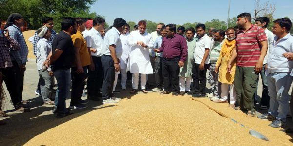 फतेहाबाद : गेहूं खरीद प्रक्रिया का जायजा लेने अतिरिक्त अनाज मंडी पहुंचे राज्यसभा सांसद सुभाष बराला