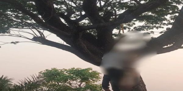 पेड़ से लटकता मिला युवक-युवती का शव, जांच में जुटी पुलिस