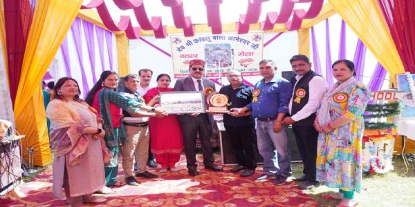 मंडी के नलसर में दो दिवसीय पारंपरिक मेले का आगाज़, सांस्कृतिक प्रस्तुतियों ने बांधा समां