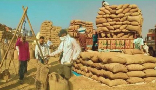 बस्तर के 79 केंद्रों में जमा धान उठाने के लिए जीरो वेस्टेज मिशन
