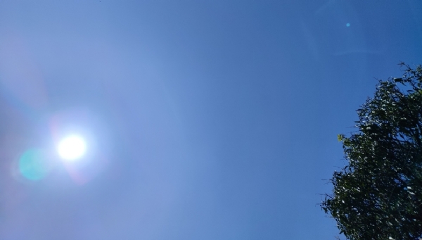 देहरादून मौसम।