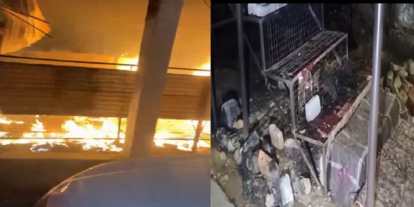 अंबिकापुर : शरारती तत्वों ने फल दुकान को फूँका, लाखों का सामान जलकर खाक