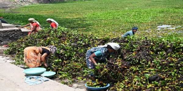 जांजगीर चांपा: रामबांधा तालाब की सफाई अभियान शुरू, कलेक्टर के निर्देशन में व्यापक पहल