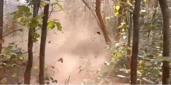 प्रतीकात्मक फोटो