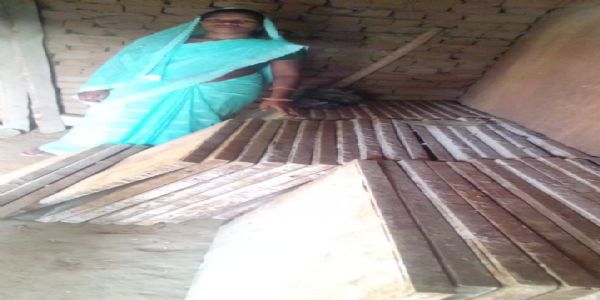 एमसीबी : सेटरिंग प्लेट व्यवसाय से आत्मनिर्भर बनकर धनमती हर महीने कमा रहीं 15 हजार रुपये