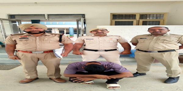 फतेहाबाद : पेट्रोल पंप पर डीजल डलवाकर ठगी करने वाला आरोपी गिरफ्तार