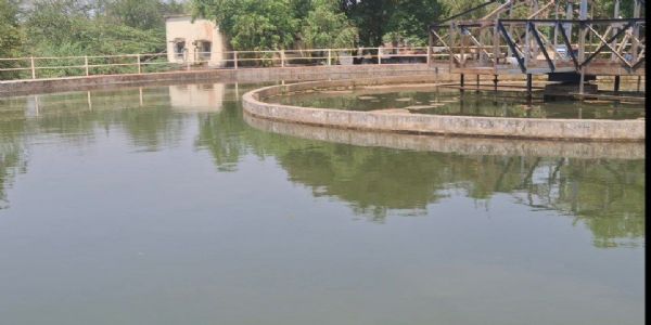 दमोहः कलेक्टर ने किया फिल्टर प्लांट का औचक निरीक्षण, कई खामियां उजागर