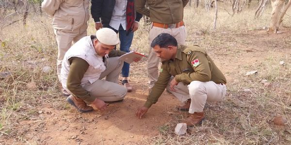 वन्य जीव गणना एक मई को, पहली बार युवतियों और महिलाओं को शामिल करेगा वन विभाग, देंगे प्रशिक्षण