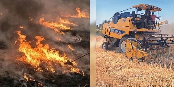 सीतामऊ क्षेत्र के 16 किसानों पर नरवाई जलाने पर 42 हजार से अधिक का जुर्माना