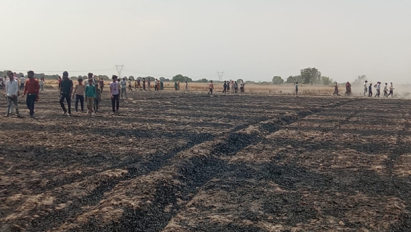 फोटो, गेहूं की फसल जलकर राख