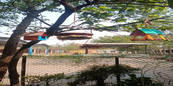 विद्यार्थियों ने पक्षियों के लिए बनाए घोंसले, संवेदनशील शिक्षा का दिया संदेश