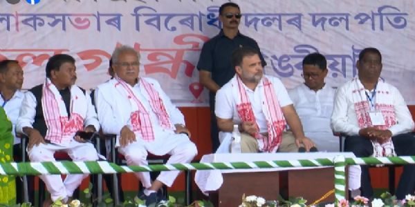 असमः तिताबर में आयोजित चुनावी सभा में हिस्सा लेने पहुंचे राहुल गांधी