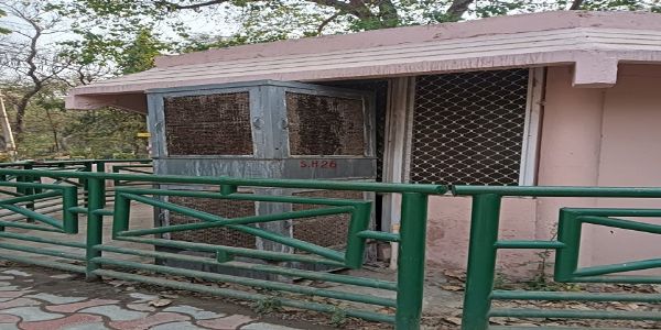 लखनऊ प्राणि उद्यान में वन्य जीवाें काे गर्मी से बचाने के लिए 50 से अधिक लगाये गये कूलर