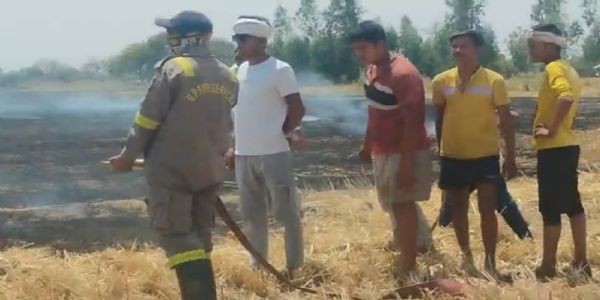 सिरफिरे युवक ने गेहूं की पराली में लगा दी आग, लाखों की फसल राख