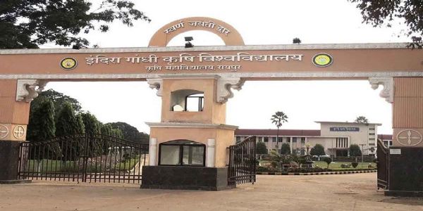 कृषि विश्वविद्यालय में आज मनाया जाएगा अक्ती तिहार, कृषि मंत्री नेताम करेंगे मिट्टी और बीजों की पूजा