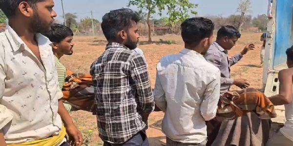 जंगली भैंसा ने ले ली दो महिलाओं की जान