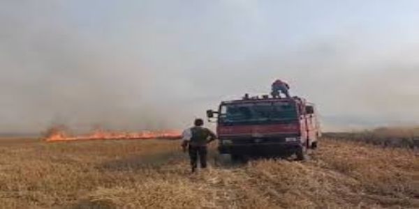 दतिया में 4 किमी तक फैली भीषण आग, गेहूं की लांक व कृषि उपकरण जलकर खाक