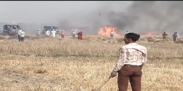औरैया में आग से दाे साै बीघा गेहूं की फसल जलकर राख, किसानों में आक्रोश
