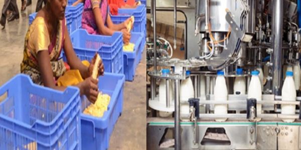 पीएम एफएमई योजना से मप्र में तीन वर्षों में साढ़े 8 हजार हितग्राही बने उद्यमी, हजारों को मिला रोजगार