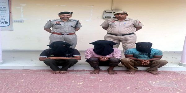 फतेहाबाद : कैंटर में ठूंस-ठूंस कर भरे थे 98 कटड़े, पुलिस ने तीन तस्करों को दबोचा