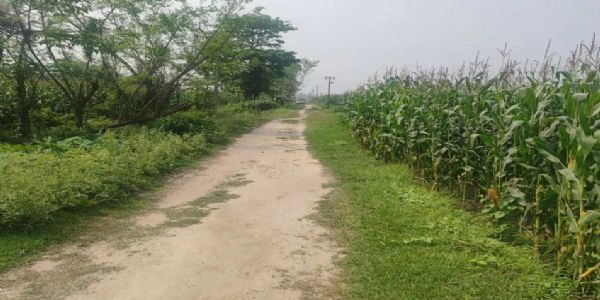 भीमनगर में 2.77 किमी सड़क निर्माण शुरू नहीं, समयसीमा पूरी होने में बचे केवल तीन महीने